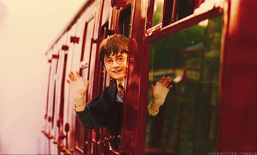 Accio Code GIF